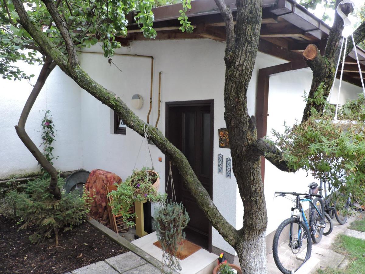Apartments Music, Garden And Free Parking SJJ Extérieur photo